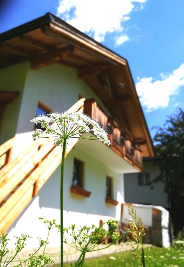 Ferienwohnung Auenheim Innervillgraten Luaran gambar